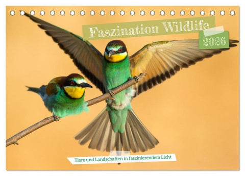 Faszination Wildlife (Tischkalender 2026 DIN A5 quer), CALVENDO Monatskalender