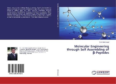 Molecular Engineering through Self Assembling of ¿-Peptides
