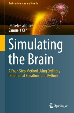 Simulating the Brain