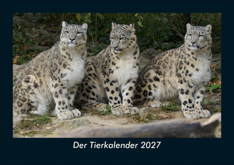 Der Tierkalender 2027 Fotokalender DIN A5