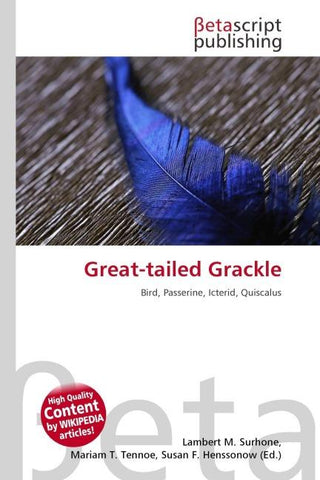 Great-tailed Grackle