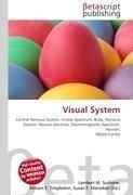 Visual System