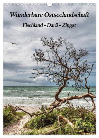 Wunderbare Ostseelandschaft Fischland-Darß-Zingst (Wandkalender 2026 DIN A3 hoch), CALVENDO Monatskalender