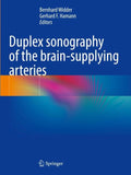 Duplex sonography of the brain-supplying arteries