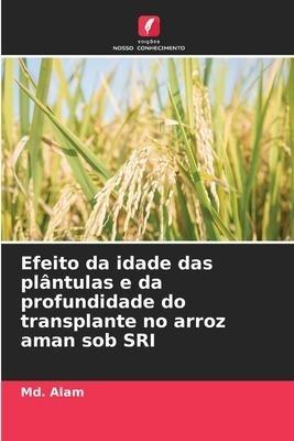 Efeito da idade das plântulas e da profundidade do transplante no arroz aman sob SRI