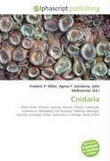 Cnidaria