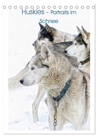 Huskies - Portraits im Schnee (Tischkalender 2026 DIN A5 hoch), CALVENDO Monatskalender