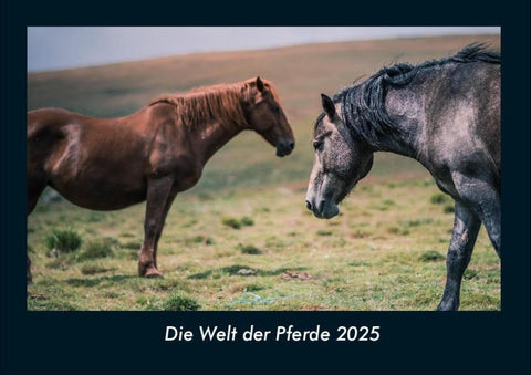 Die Welt der Pferde 2025 Fotokalender DIN A4