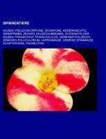 Spinnentiere