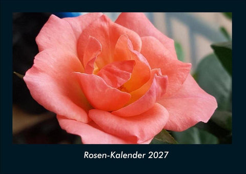 Rosen-Kalender 2027 Fotokalender DIN A4