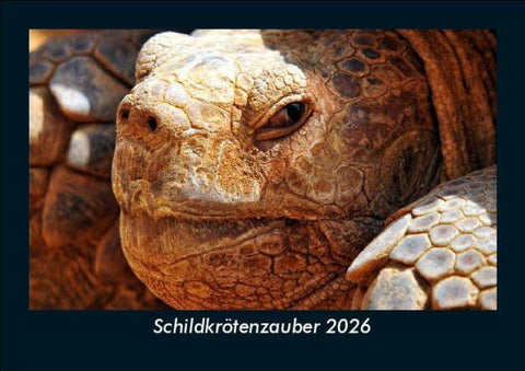 Schildkrötenzauber 2026 Fotokalender DIN A5