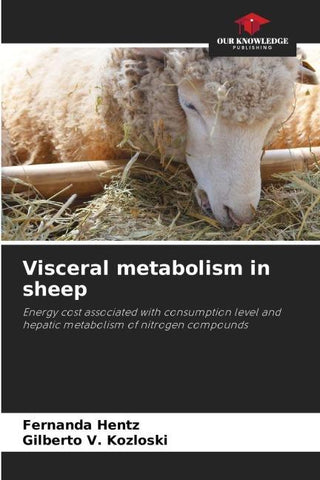Visceral metabolism in sheep