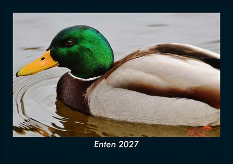 Enten 2027 Fotokalender DIN A5