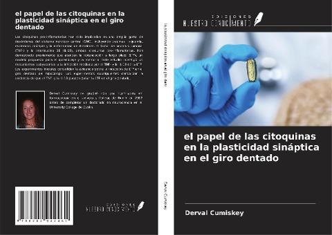 el papel de las citoquinas en la plasticidad sináptica en el giro dentado