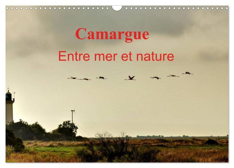 Camargue Entre mer et nature (Calendrier mural 2026 DIN A3 vertical), CALVENDO calendrier mensuel