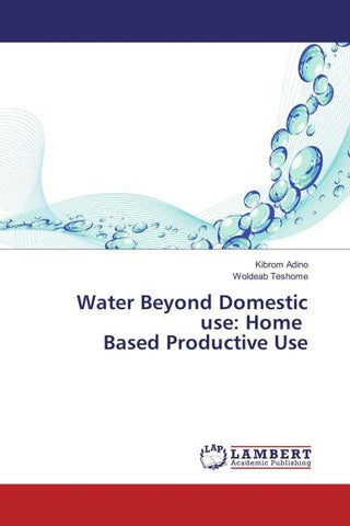 Water Beyond Domestic use: Home Based Productive Use