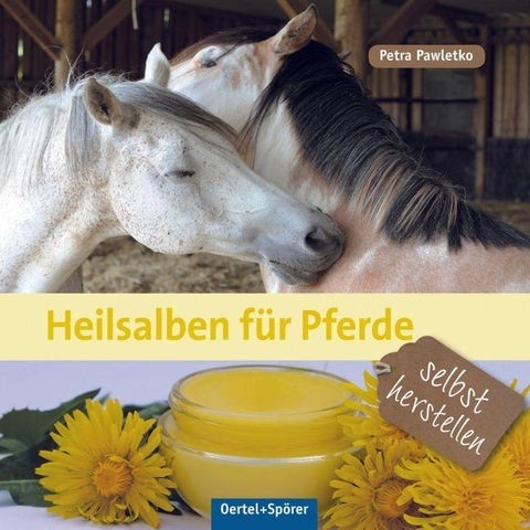 Heilsalben für Pferde selbst herstellen