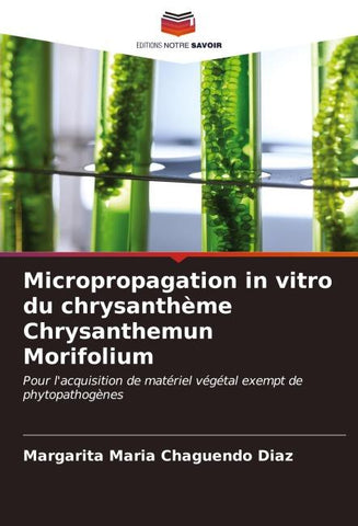 Micropropagation in vitro du chrysanthème Chrysanthemun Morifolium