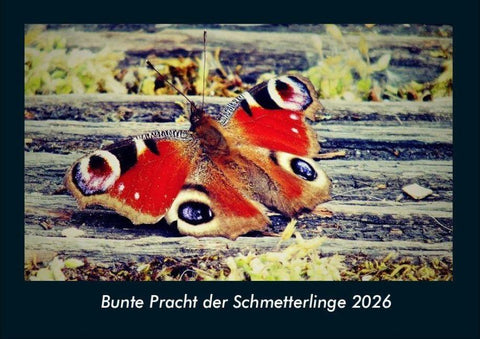 Bunte Pracht der Schmetterlinge 2026 Fotokalender DIN A4