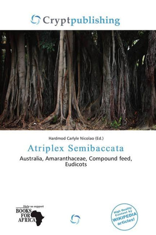 Atriplex Semibaccata