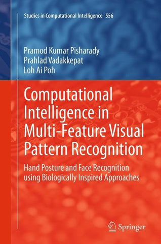 Computational Intelligence in Multi-Feature Visual Pattern Recognition