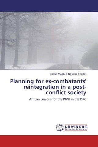 Planning for ex-combatants' reintegration in a post-conflict society