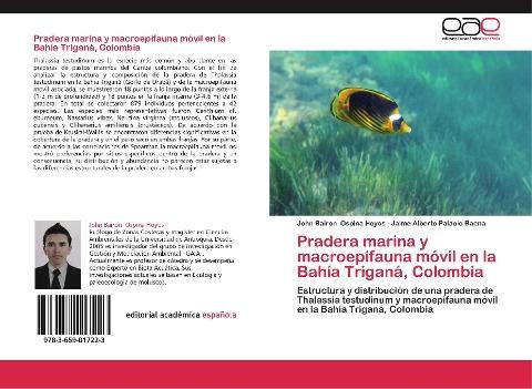 Pradera marina y macroepifauna móvil en la Bahía Triganá, Colombia