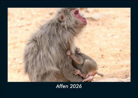 Affen 2026 Fotokalender DIN A5