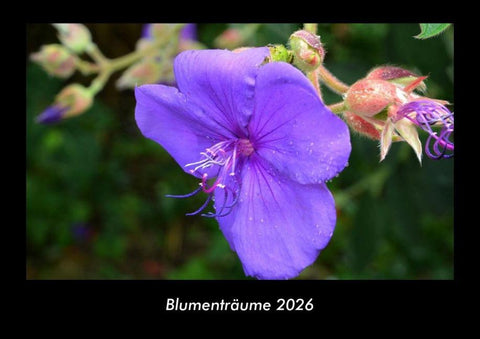 Blumenträume 2026 Fotokalender DIN A3
