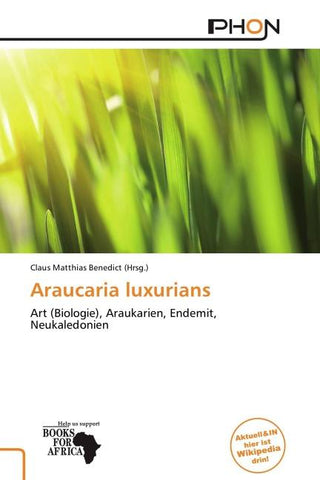 Araucaria luxurians