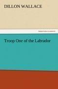 Troop One of the Labrador