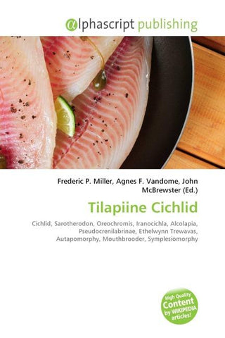 Tilapiine Cichlid