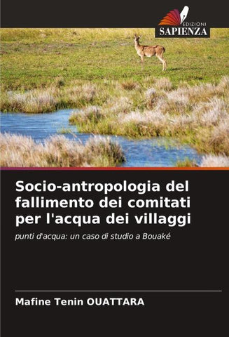 Socio-antropologia del fallimento dei comitati per l'acqua dei villaggi
