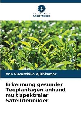 Erkennung gesunder Teeplantagen anhand multispektraler Satellitenbilder