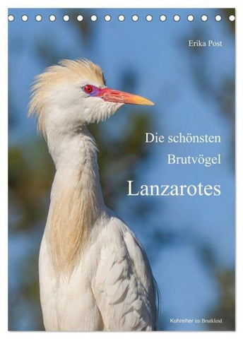 Die schönsten Brutvögel Lanzarotes (Tischkalender 2027 DIN A5 hoch), CALVENDO Monatskalender