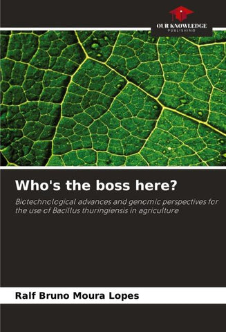 Who's the boss here?