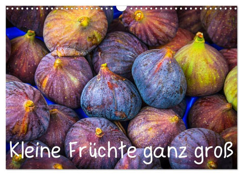 Kleine Früchte ganz groß (Wandkalender 2026 DIN A3 quer), CALVENDO Monatskalender