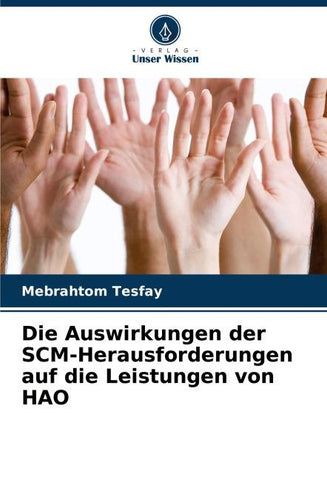 Die Auswirkungen der SCM-Herausforderungen auf die Leistungen von HAO