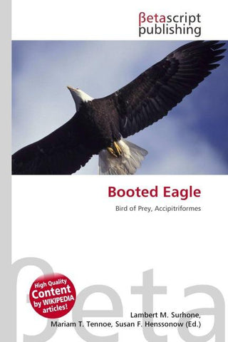 Booted Eagle