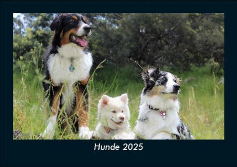 Hunde 2025 Fotokalender DIN A5