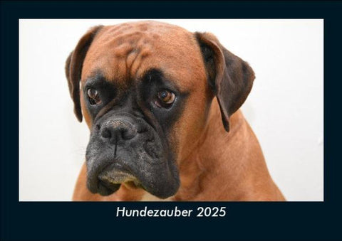 Hundezauber 2025 Fotokalender DIN A5