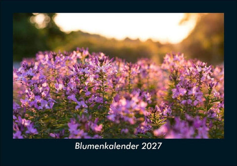 Blumenkalender 2027 Fotokalender DIN A5
