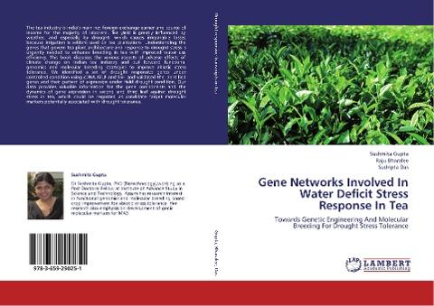 Gene Networks Involved In Water Deficit Stress  Response In Tea