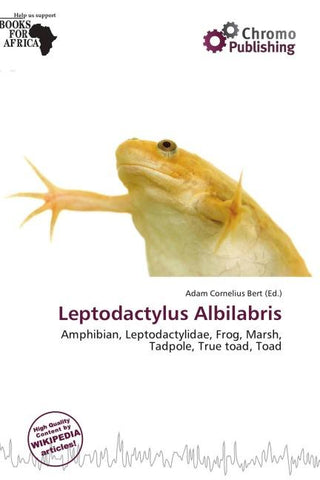Leptodactylus Albilabris