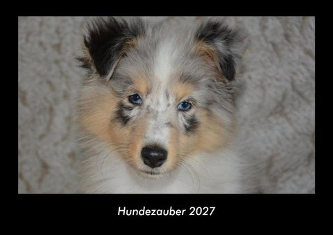 Hundezauber 2027 Fotokalender DIN A3