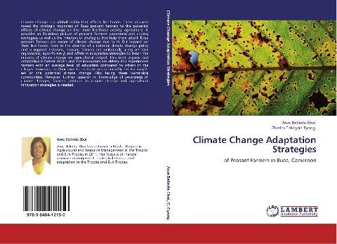 Climate Change Adaptation Strategies