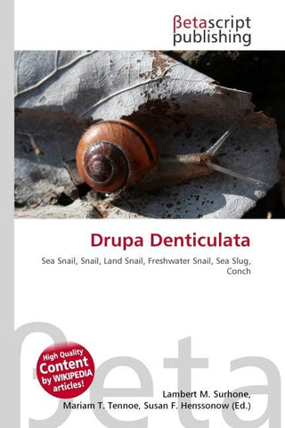 Drupa Denticulata