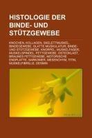 Histologie der Binde- und Stützgewebe