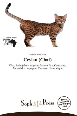Ceylan (Chat)