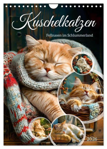 Kuschelkatzen - Fellnasen im Schlummerland (Wandkalender 2026 DIN A4 hoch), CALVENDO Monatskalender